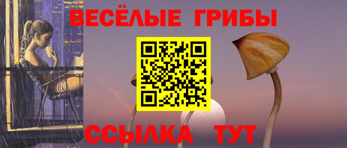 Галлюциногенные грибы мицелий  Псилоцибиновые грибы GOLDEN TEACHER  Вход с VPN  Белорецк 